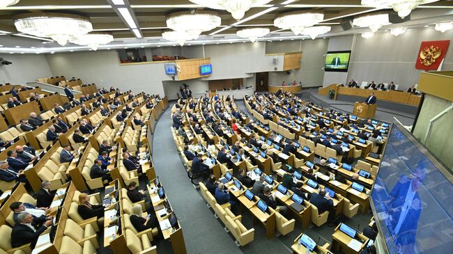 Председатель комитета Госдумы РФ по международным делам, руководитель фракции ЛДПР Леонид Слуцкий выступает на пленарном заседании Государственной Думы РФ